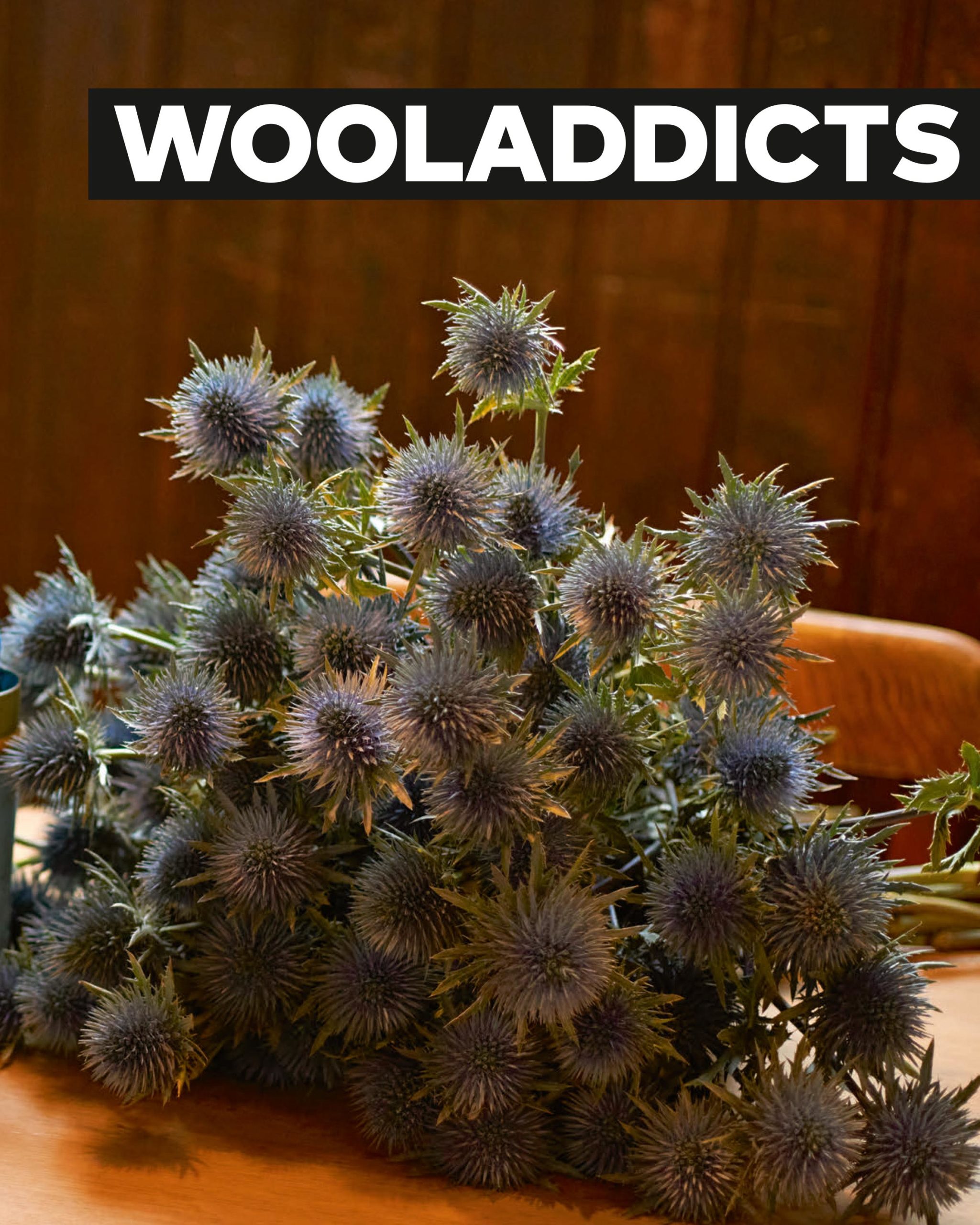 Wooladdicts 9 3 Wooladdicts 9 – Bild 3