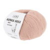 0028 Lachs