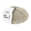 0067 Camel