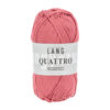 0028 Lachs