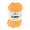 0259 Mandarine