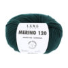 0217 Tanne