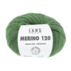 0316 Kiwi