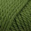 0016 Kiwi