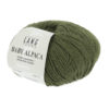 0098 Olive