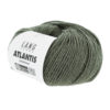 0098 Olive