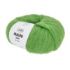 0016 Apfel