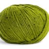 0066 Kiwi