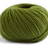 0066 Kiwi