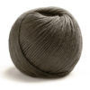 0048 Macadamia