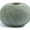 0064 Salbei
