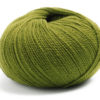 0066 Kiwi