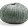 0064 Salbei