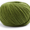 0066 Kiwi