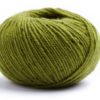 0066 Kiwi