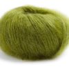 0066 Kiwi