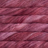Sm401 Raspberry
