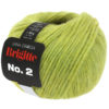 0039 Kiwi