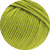 0972 Kiwi