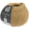 1009 Camel