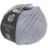 1019 Graublau