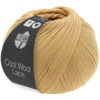 0040 Camel