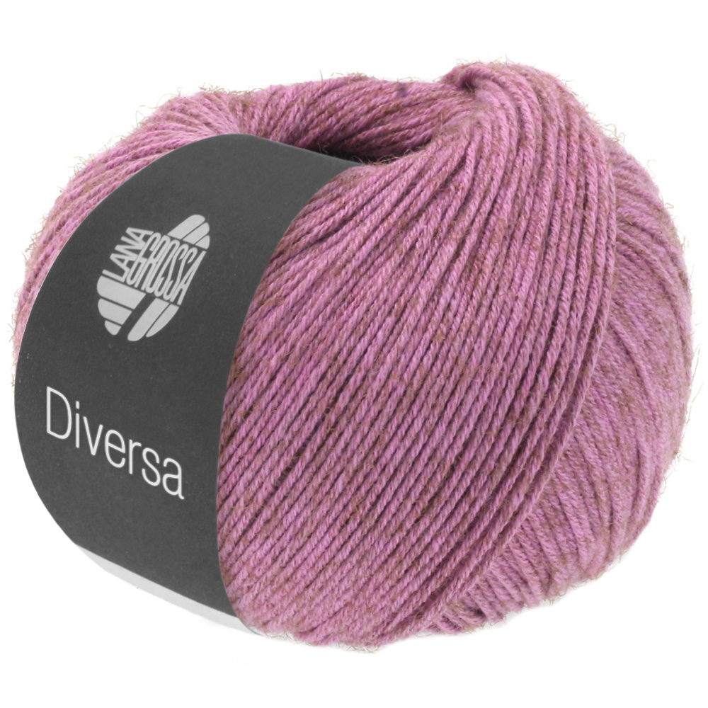 Diversa 1 Diversa