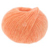 0079 Apricot