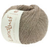 0404 Taupe