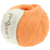 0039 Orange