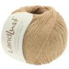 0044 Camel