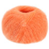 0522 Apricot