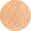 0001 Apricot