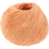 0033 Apricot