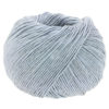 0048 Graublau