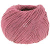 0062 Nelkenrosa