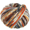 0009 Rohweiss/Graubraun/Rost/Orange/Marone