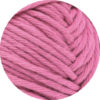 0069 Hellpink