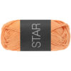 0099 Lachs