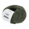 0098 Olive Dunkel