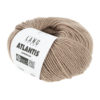 0039 Camel