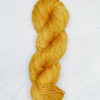 Ss1039 Turmeric