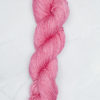 Ss1046 Camellia