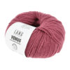 0066 Himbeere