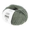 0098 Olive