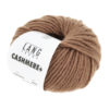 0039 Camel
