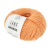 0027 Apricot