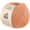 0005 Apricot