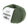 0098 Olive Dunkel