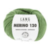 0418 Farn